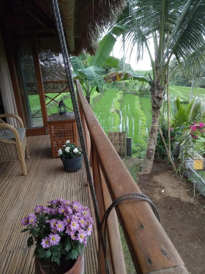 Babahan Farmstay Tabanan Zewnętrze zdjęcie