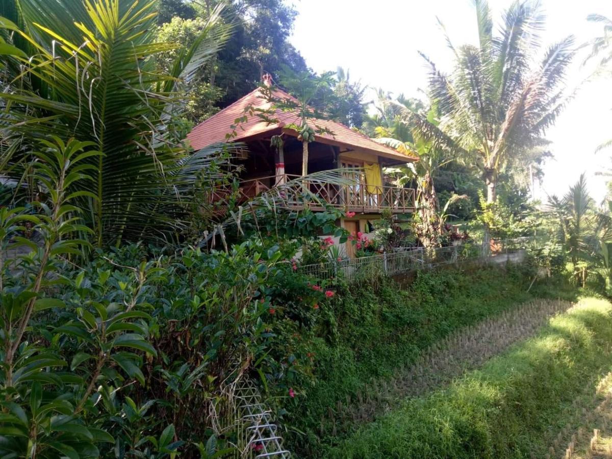 Babahan Farmstay Tabanan Zewnętrze zdjęcie